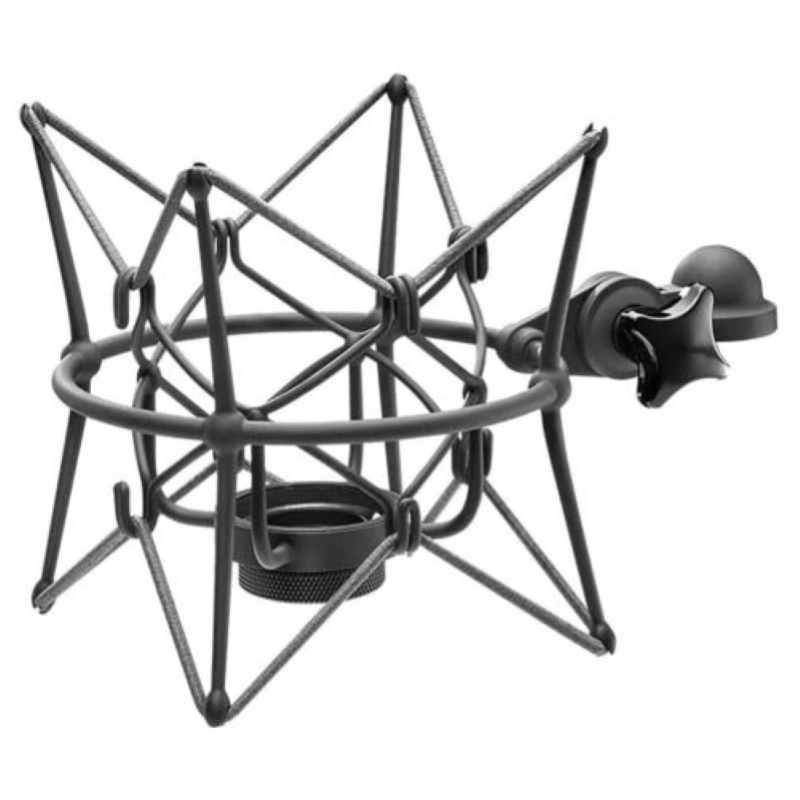 Neumann EA 2 mt shock mount