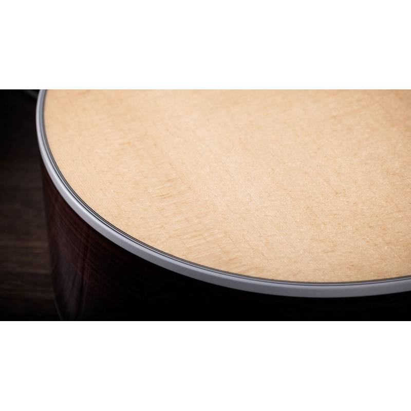 Taylor 414ce-Top Natural Grand Auditorium