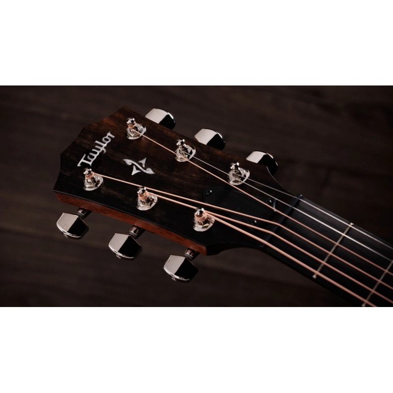 Taylor 414ce-Top Natural Grand Auditorium