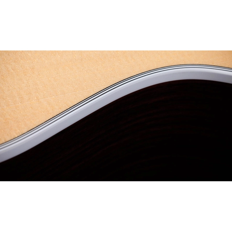 Taylor 414ce-Top Natural Grand Auditorium