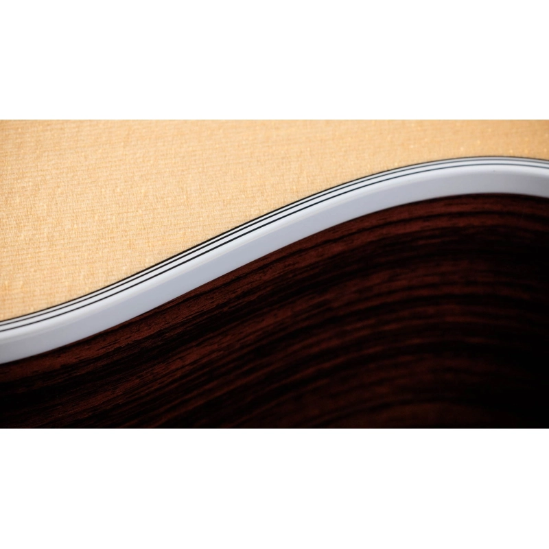 Taylor 454ce Natural Top 12 Corde