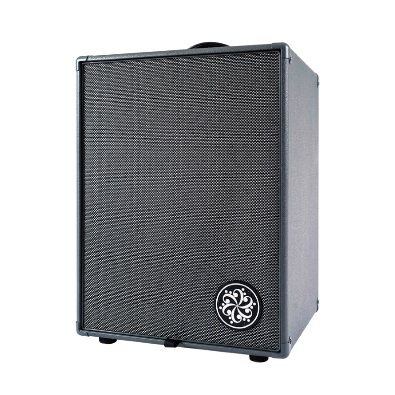 Darkglass D210D Bass Combo 500W 2x10"