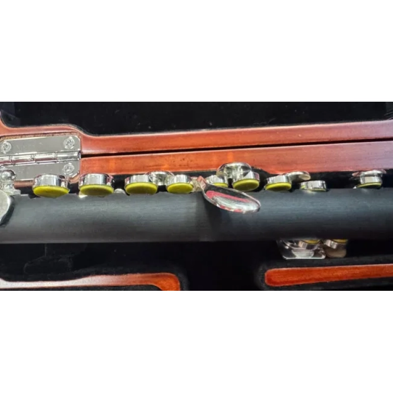 BERNHARD HAMMIG B651 OTTAVINO SINTETICO CHIAVI ARGENTATE CON MI SNODATO