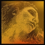 Pirastro Evah Gold 1MI Violino Asola Medium 315521