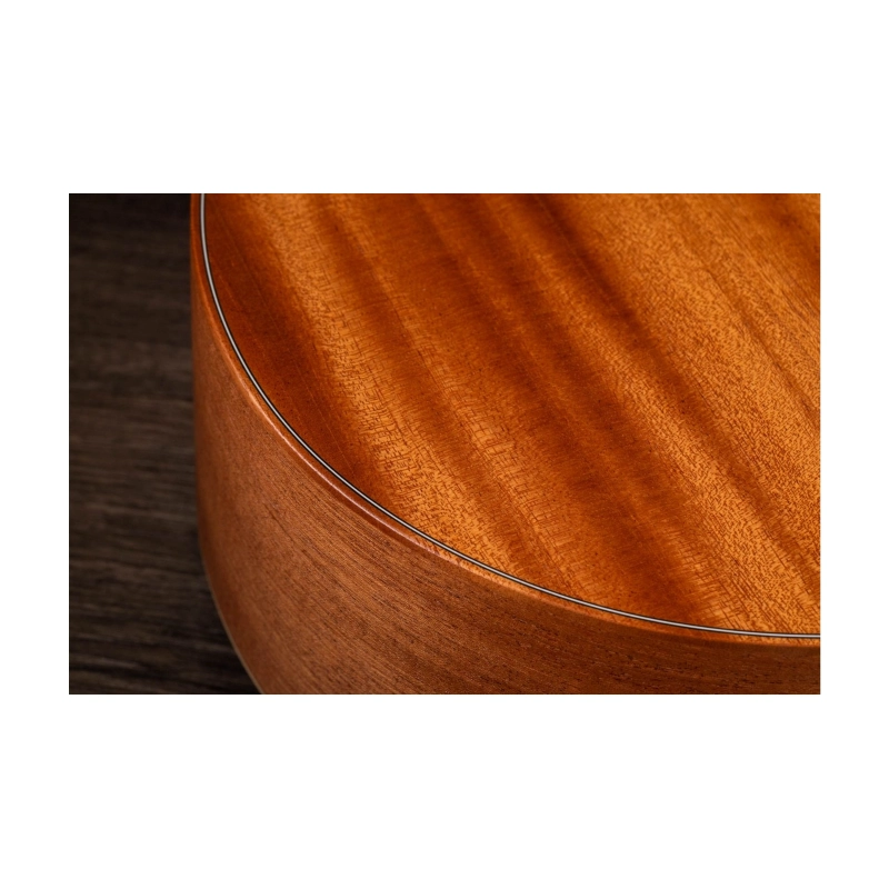 Taylor GS Mini Mahogany