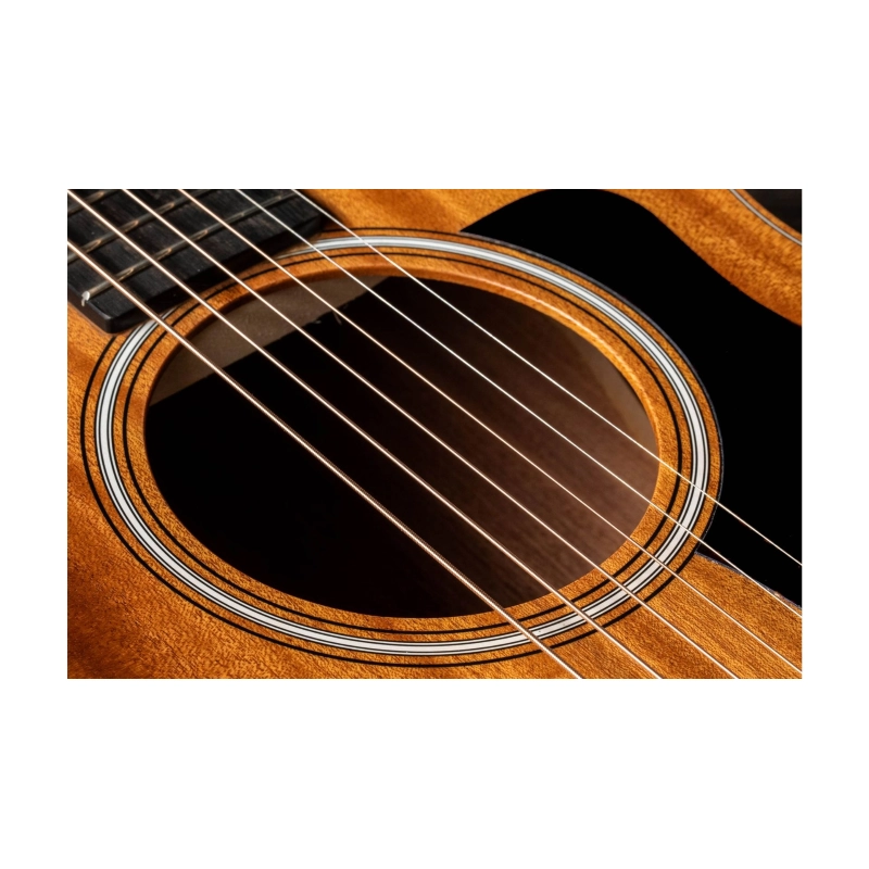 Taylor GS Mini Mahogany