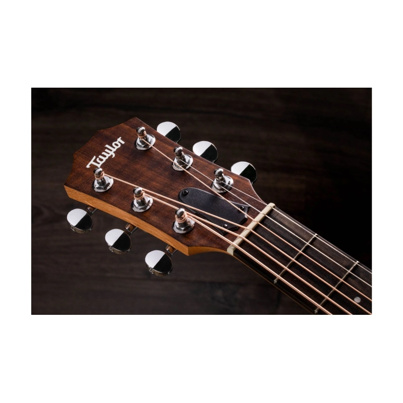 Taylor GS Mini Mahogany