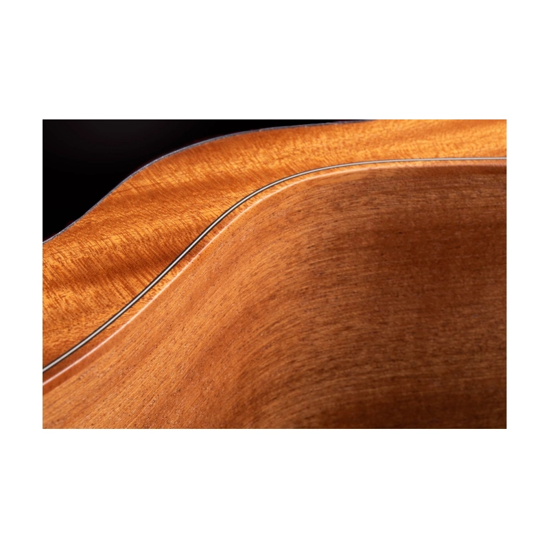 Taylor GS Mini Mahogany