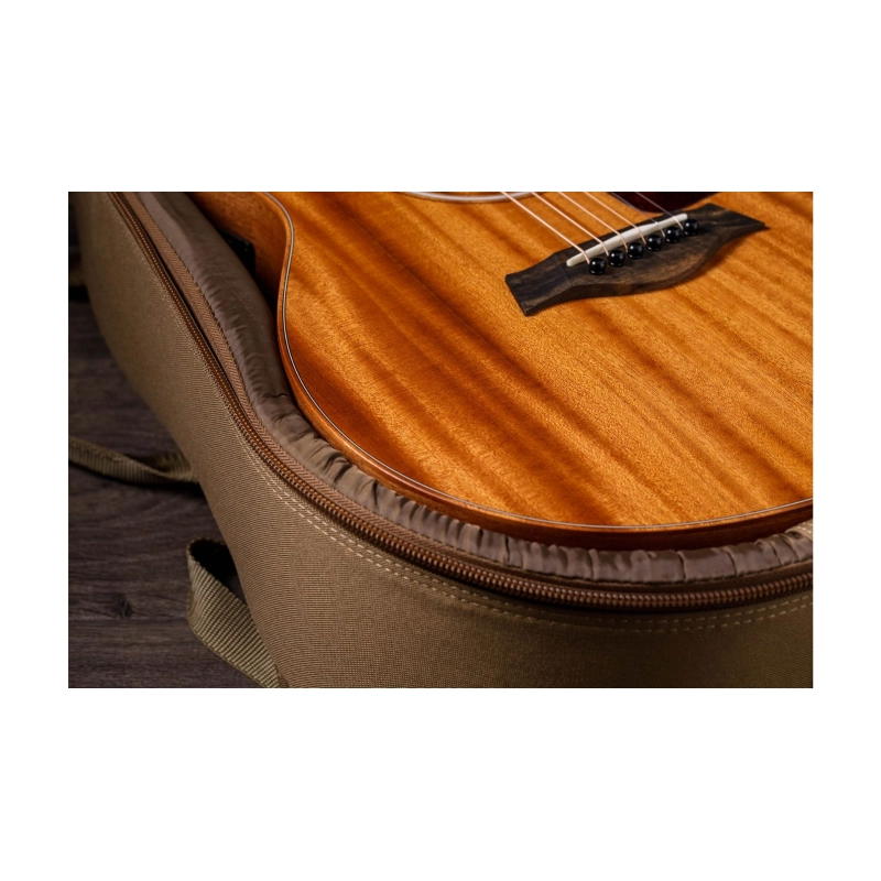 Taylor GS Mini Mahogany