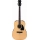 Ibanez PF15 NT Chitarra acustica finitura Natural High Gloss