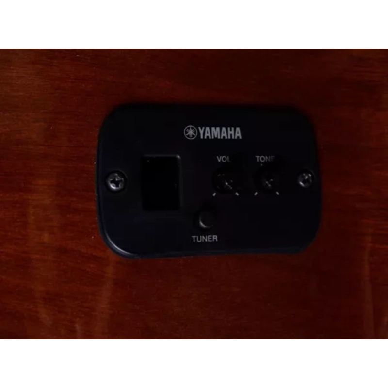 Yamaha CGX102A amplificata