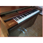 Celesta Negro 66 Note Do-Fa, in DEMO