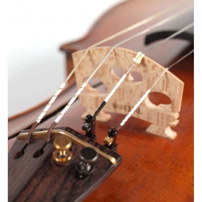 WARCHAL AVANTGARDE LA W302B VIOLINO PALLINO