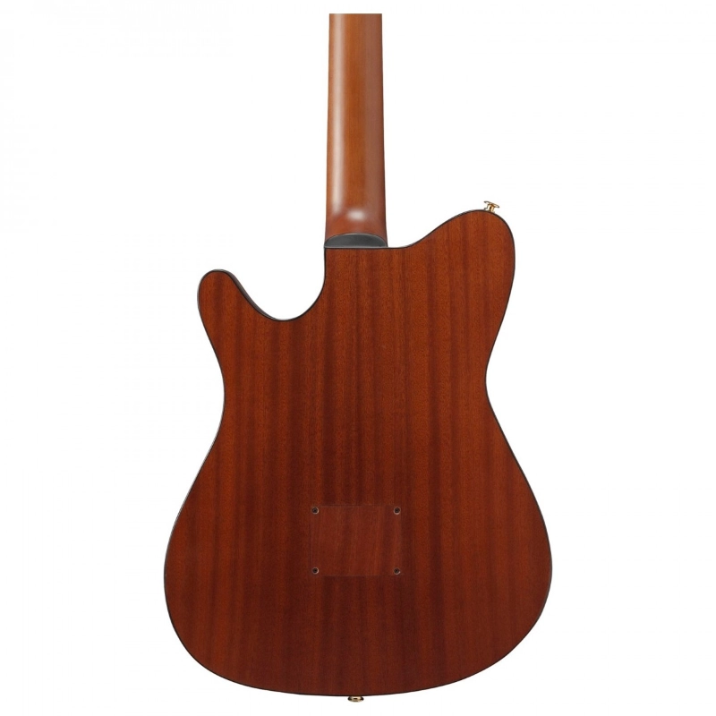 Ibanez FRH10NLBSF Chitarra Acustica Mancina Preamplificatore Ibanez AEQ210T con accordatore integrato