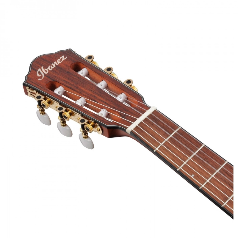 Ibanez FRH10NRGF Chitarra Acustica Preamplificatore Ibanez AEQ210T con accordatore integrato