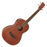 Ibanez PNB14EOPN Basso acustico elettrificato 4 corde finitura Open Pore Natural