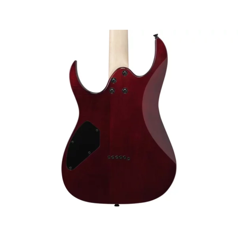 Ibanez GRGR221PAAQB