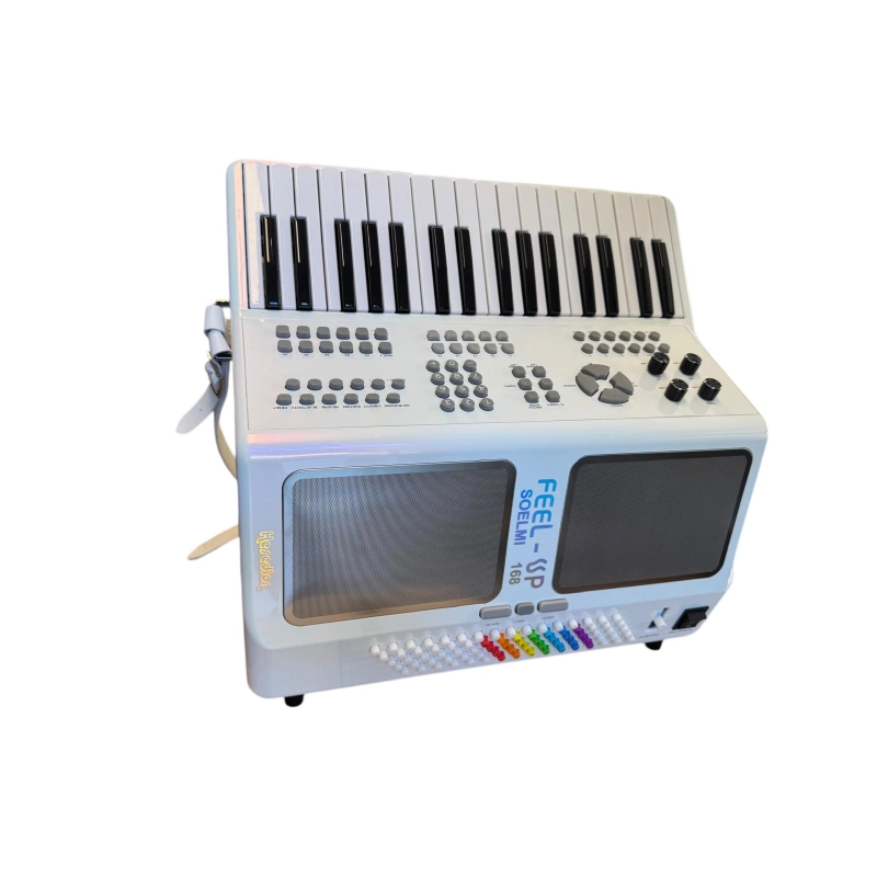 HESEDION Fisarmonica Elettronica 80 Bassi 34 tasti