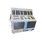 HESEDION Fisarmonica Elettronica 80 Bassi 34 tasti