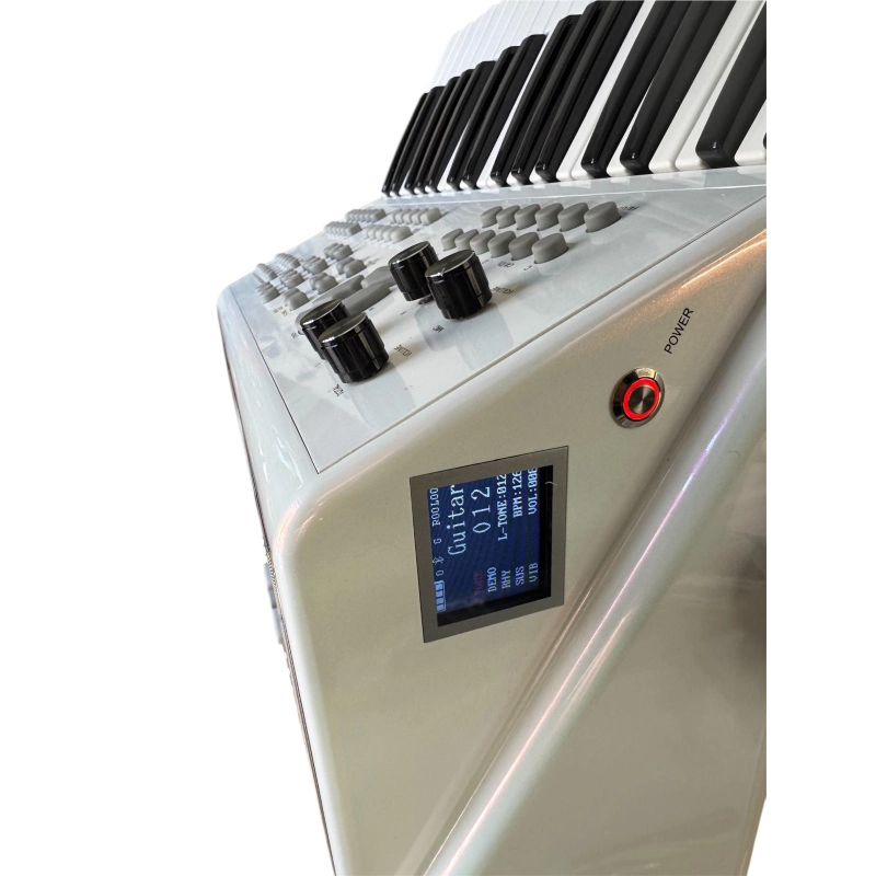 HESEDION Fisarmonica Elettronica 80 Bassi 34 tasti