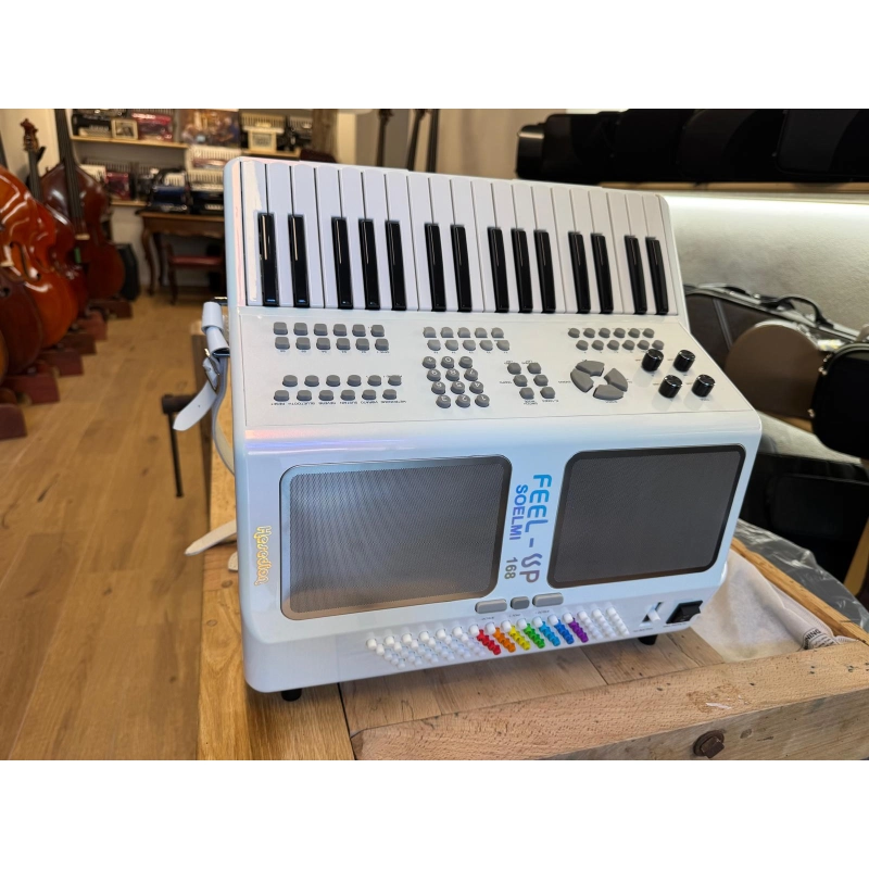 HESEDION Fisarmonica Elettronica 80 Bassi 34 tasti