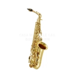 J. Michael AL500N Sax Contralto Laccato