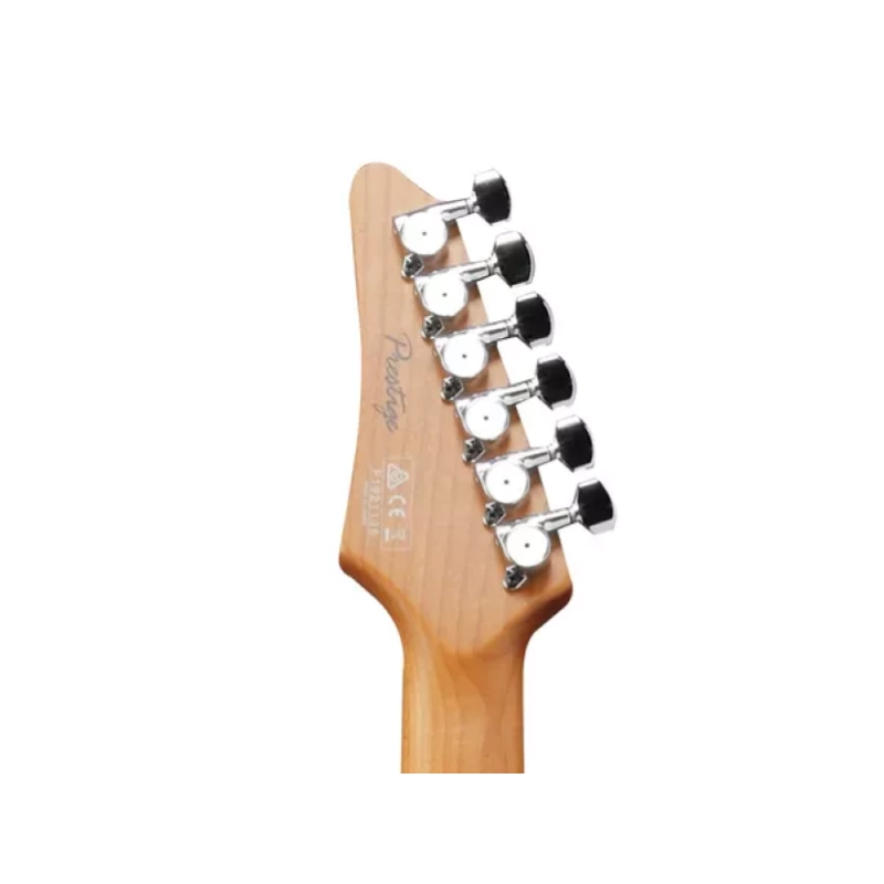 Ibanez AZ2204BBK Black