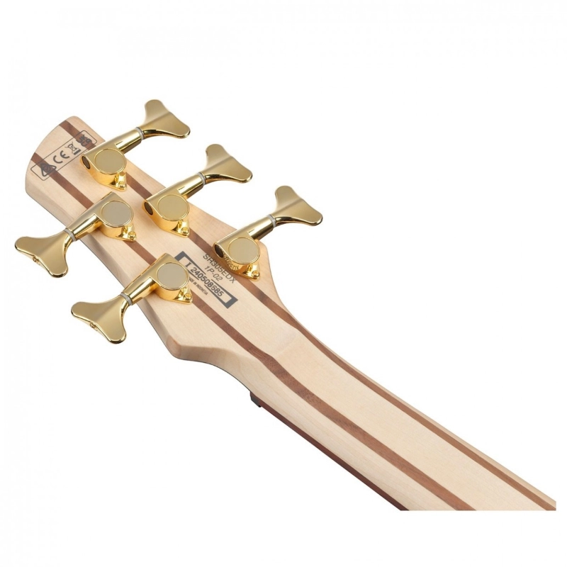 Ibanez SR305EDXWZM Wine Red Frozen Matte