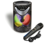 Bontempi 49 1010 Diffusore Portatile con Microfono Luci RGB e Lettore Wireless