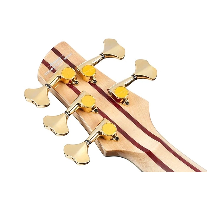 Ibanez JCSR2023RCY Basso 5 Corde River Canyon