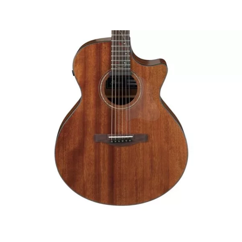 Ibanez AE295LGS Chitarra acustica finitura Natural Low Gloss