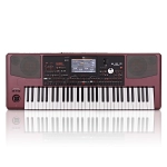 Korg PA1000 Tastiera Dinamica Professionale 61 Tasti