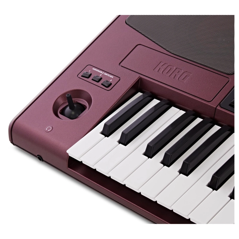 Korg PA1000 Tastiera Dinamica Professionale 61 Tasti