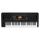 Korg EK50L Limitless Tastiera Arranger 61 Tasti