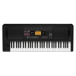 Korg EK50L Limitless Tastiera Arranger 61 Tasti