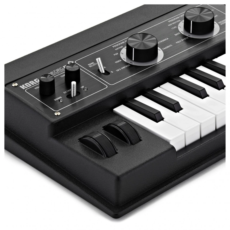 Korg MicroKorg XL+ Sintetizzatore Analogico e Vocoder 37 Tasti