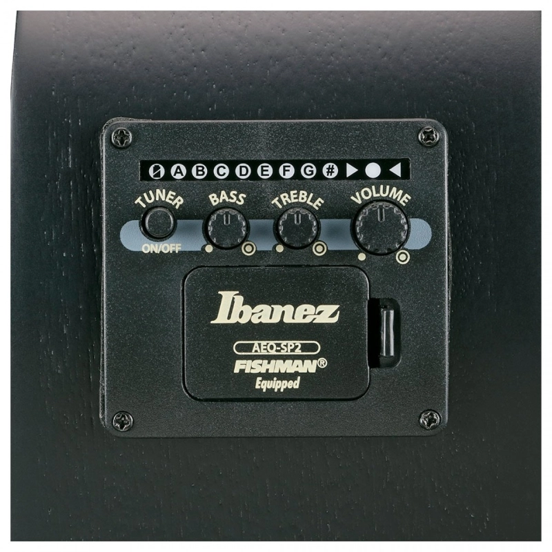 Ibanez AEWC621BOT Black Out
