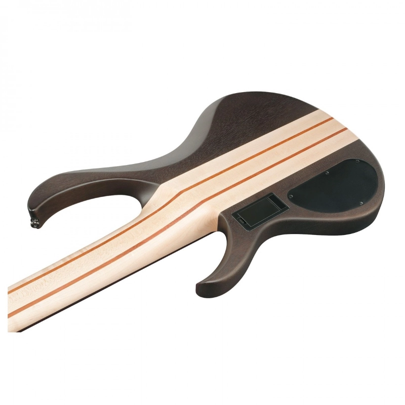 Ibanez BTB606TGF Transparent Gray Flat