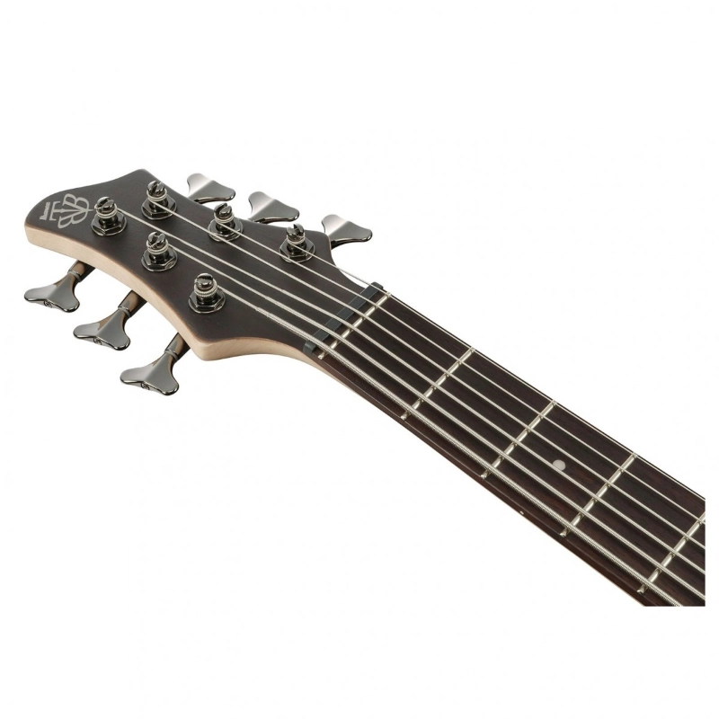 Ibanez BTB606TGF Transparent Gray Flat