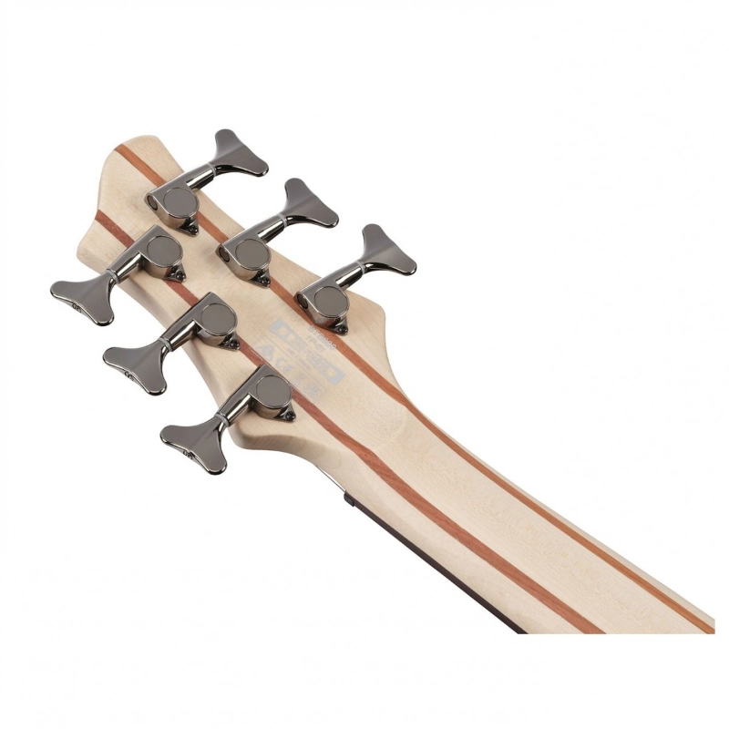 Ibanez BTB606TGF Transparent Gray Flat