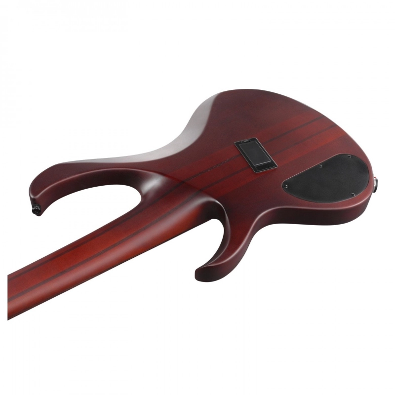 Ibanez BTB705LMNNF Natural Browned Burst Flat