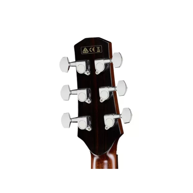 IBANEZ AAD400CE LGS Natural Low Glos Complrta di Astuccio