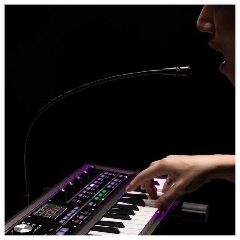 Korg MicroKorg 2 Standard Sintetizzatore 37 Tasti Mini