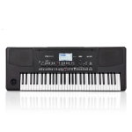 Korg PA300 Tastiera Dinamica 61 Tasti