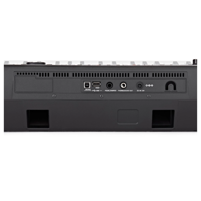 Korg PA300 Tastiera Dinamica 61 Tasti