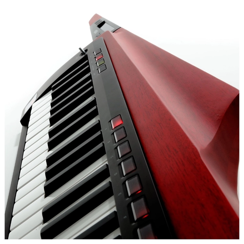 Korg RK100S2RD Sintetizzatore Keytar 37 Tasti Rosso