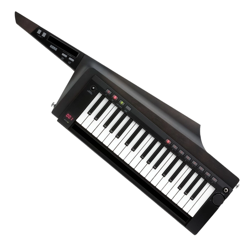 Korg RK1000S2 BLK Sintetizzatore a Tastiera