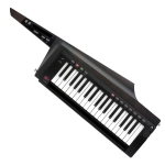 Korg RK1000S2 BLK Sintetizzatore a Tastiera