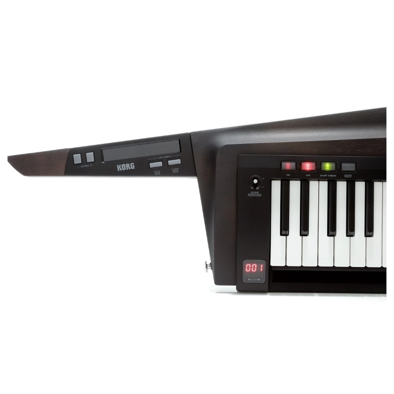 Korg RK1000S2 BLK Sintetizzatore a Tastiera