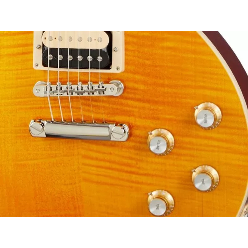 Gibson Slash Les Paul Standard Appetite Burst LPSS00APNH1